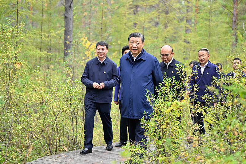 9月6日至8日，中共中央总书记、国家主席、中央军委主席习近平在黑龙江考察。这是6日下午，习近平在大兴安岭地区漠河市漠河林场自然林区考察